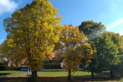 IMG_20171014_103829