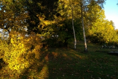 IMG_20171015_080636